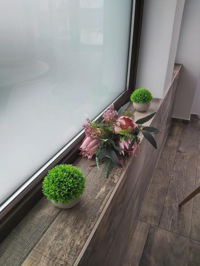 Accent House Apartment Deva Ngoại thất bức ảnh